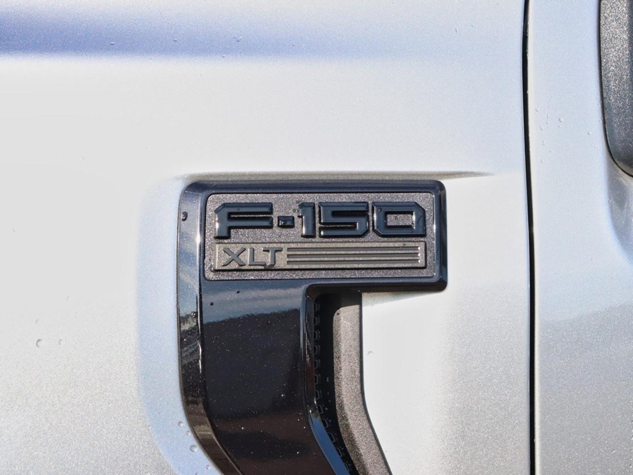 2025 Ford F-150 XLT | 4X4 | 2.7L | 302A | BLK PKG PLS | 360 | 20s Photo