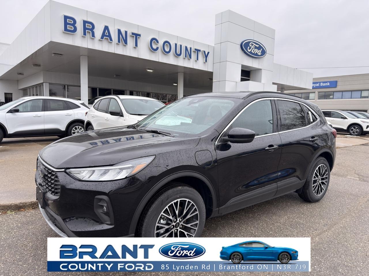 2025 Ford Escape PLUG IN HYBRID/NICELY EQUIPPED! Photo