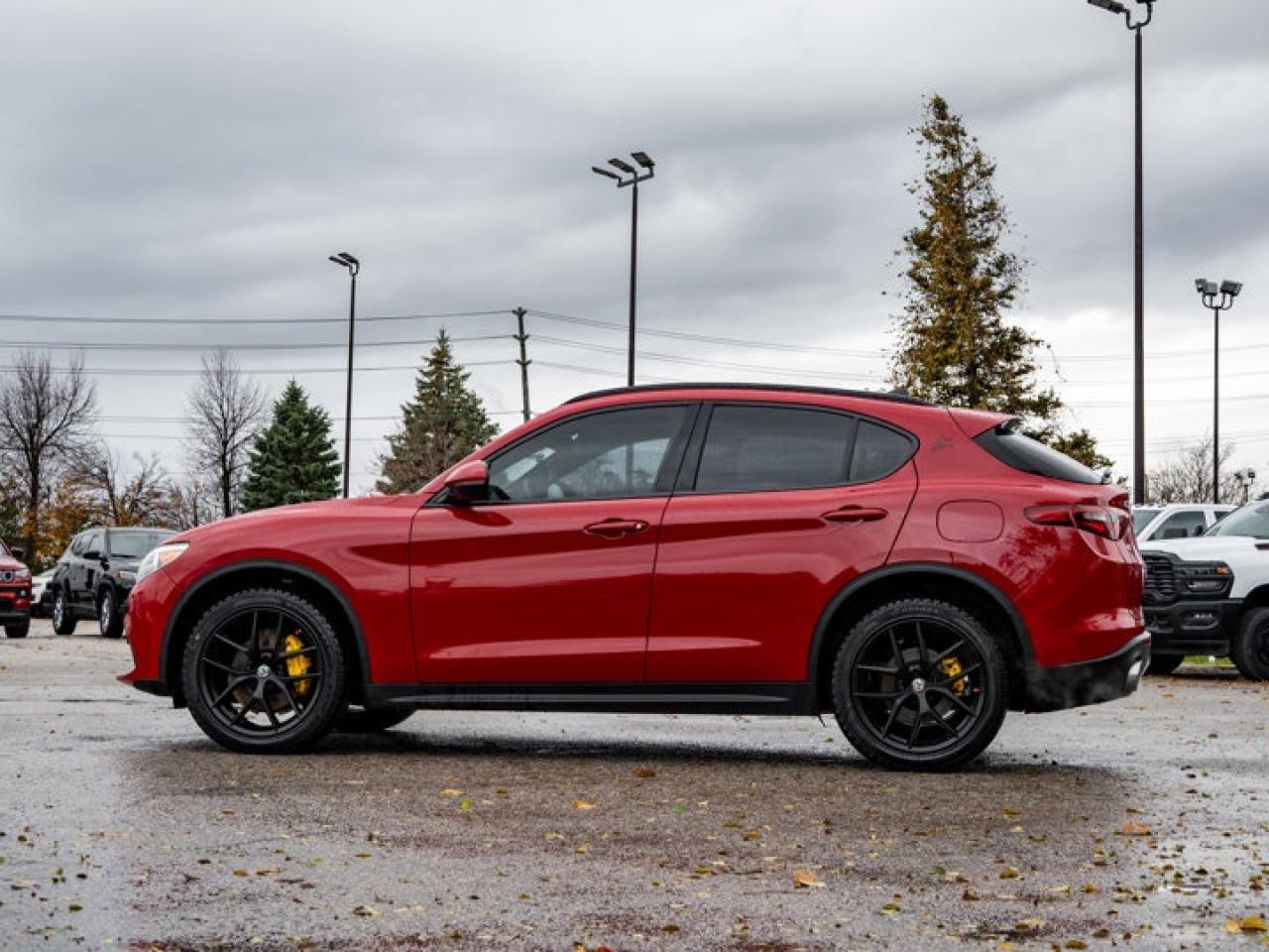 2018 Alfa Romeo Stelvio Ti Sport Photo