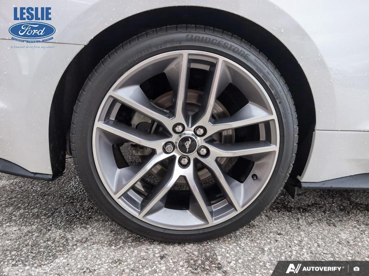 2015 Ford Mustang GT Premium Convertible Photo