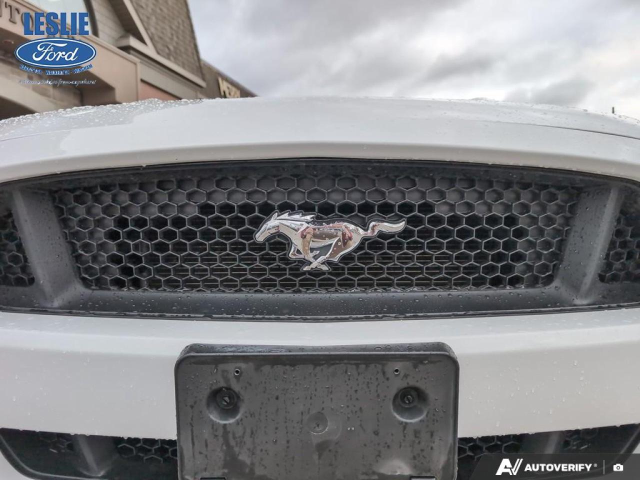 2015 Ford Mustang GT Premium Convertible Photo