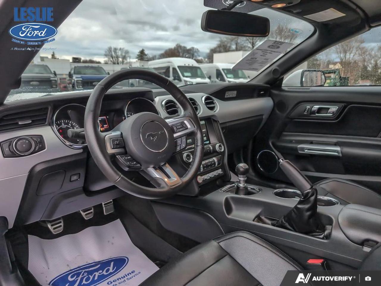 2015 Ford Mustang GT Premium Convertible Photo