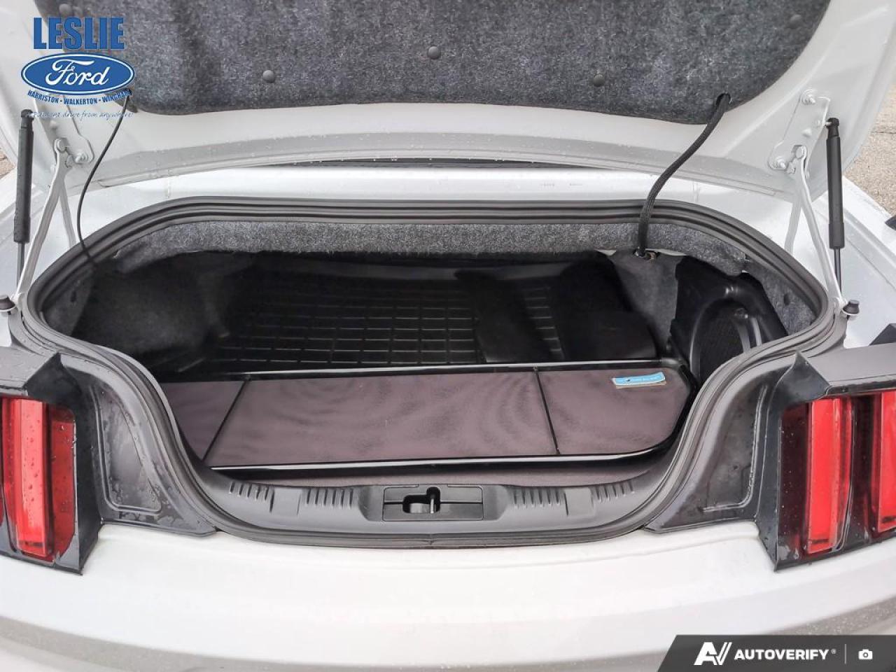 2015 Ford Mustang GT Premium Convertible Photo