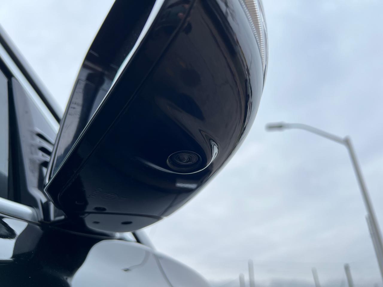 2020 Infiniti QX50 PURE AWD NO ACCIDENTS BLINDSPOT ASSIST 360 CAM Photo