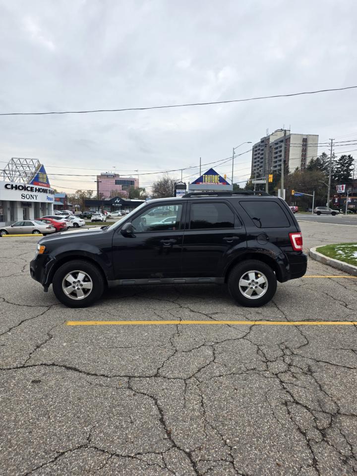 2011 Ford Escape FWD 4DR V6 AUTO XLT - Photo #8