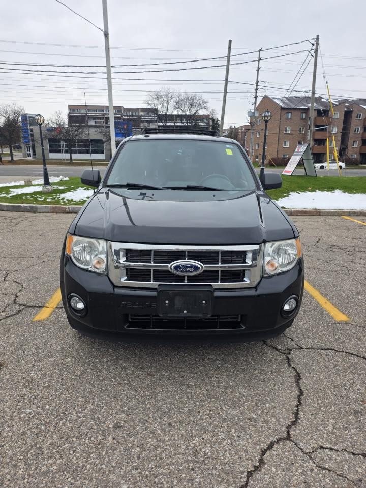 2011 Ford Escape FWD 4DR V6 AUTO XLT - Photo #7