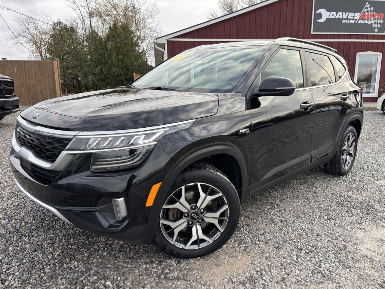 Used 2021 Kia Seltos EX for sale in Dunnville, ON