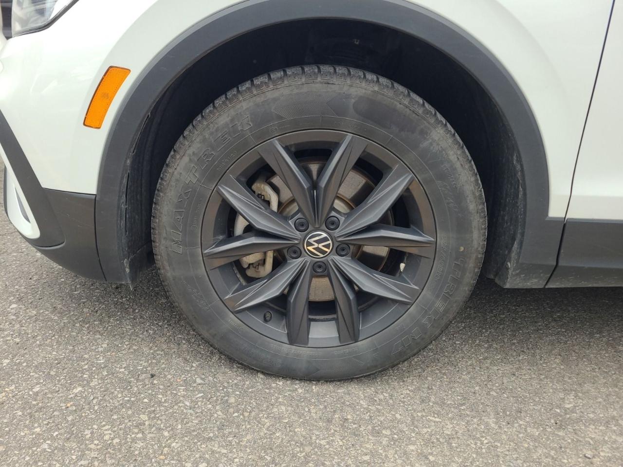 2024 Volkswagen Tiguan COMFORTLINE Photo