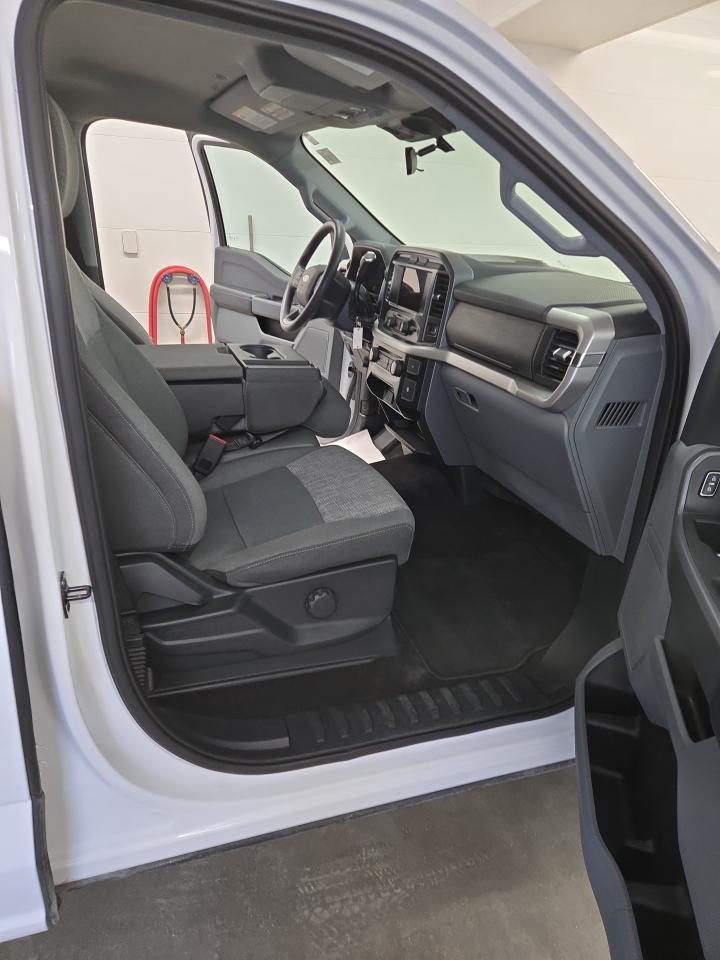 2022 Ford F-150 XLT 4WD SuperCrew 6.5' Box Photo