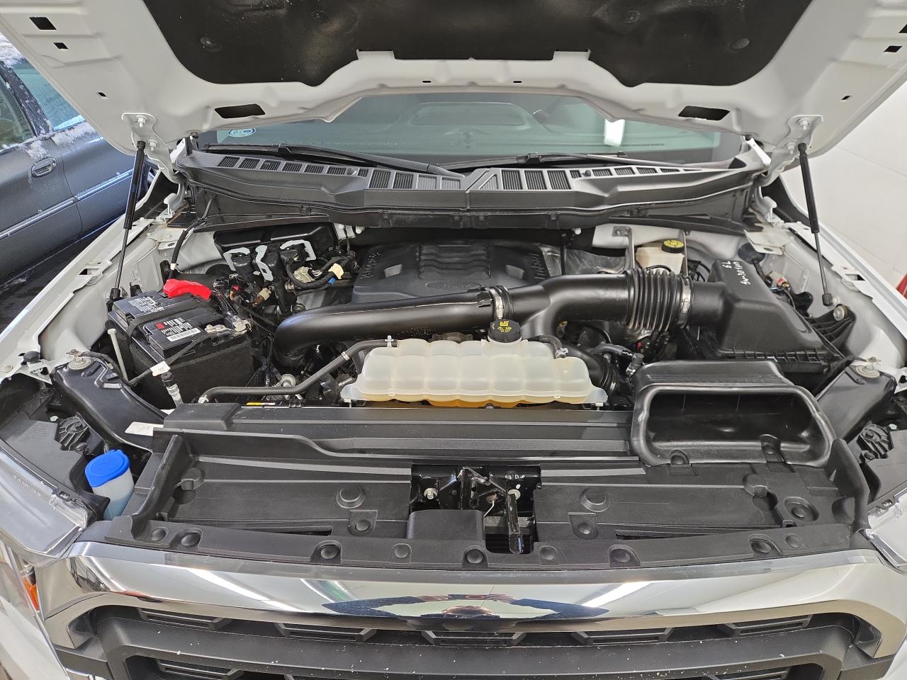 2022 Ford F-150 XLT 4WD SuperCrew 6.5' Box Photo