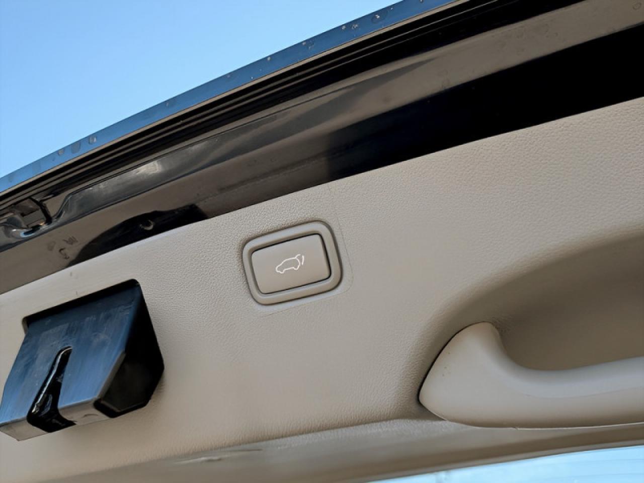 2019 Kia Sedona SX  **PWR SLIDERS - SUNROOF** Photo