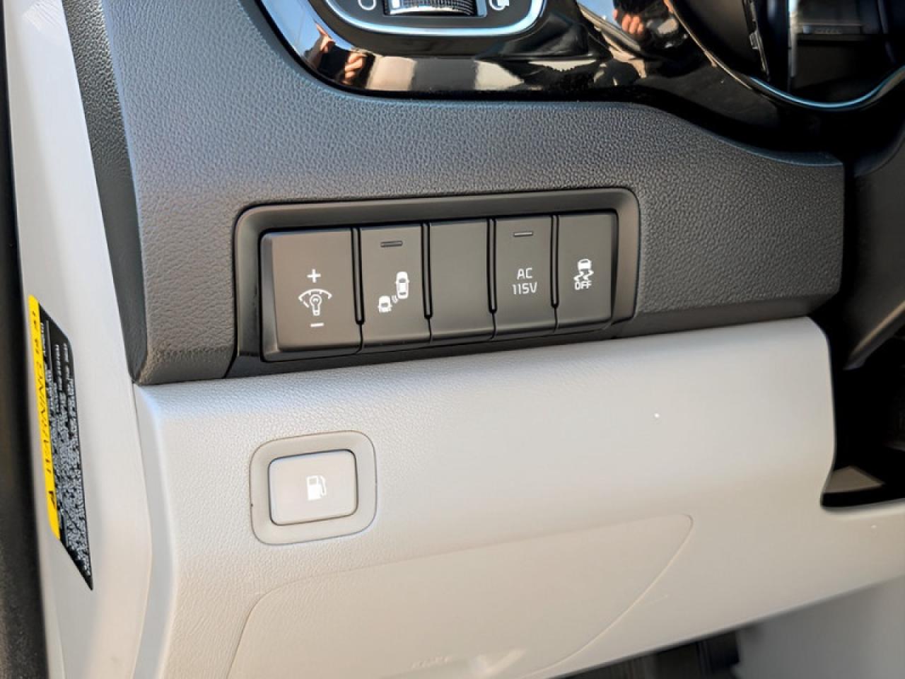 2019 Kia Sedona SX  **PWR SLIDERS - SUNROOF** Photo