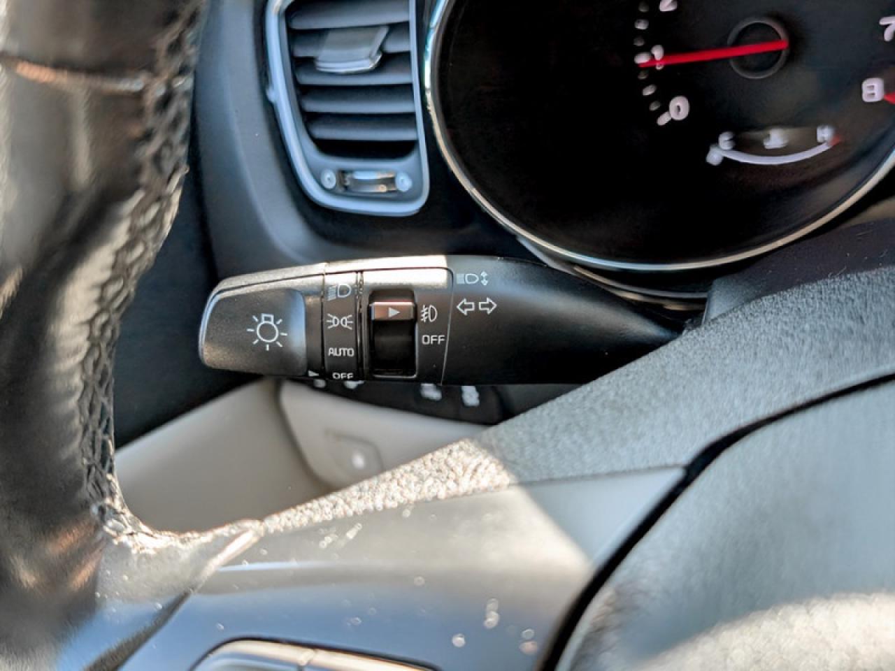 2019 Kia Sedona SX  **PWR SLIDERS - SUNROOF** Photo