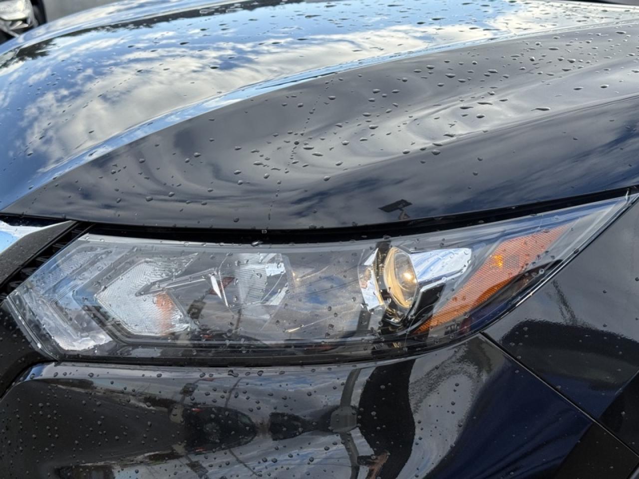 2023 Nissan Qashqai SV  - Low Mileage Photo