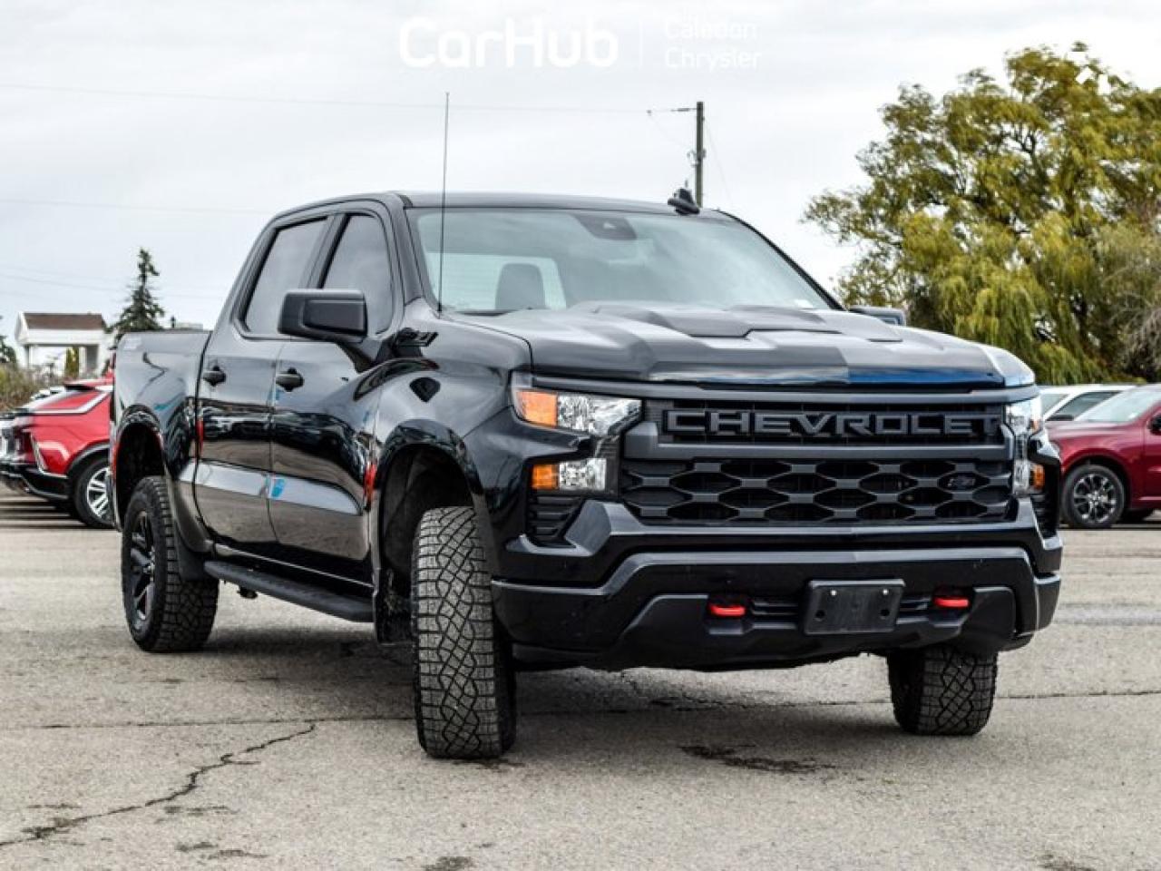 2023 Chevrolet Silverado 1500 Custom Trail Boss 4WD Crew Cab 147" 5.3L MultiPro Tailgate Photo