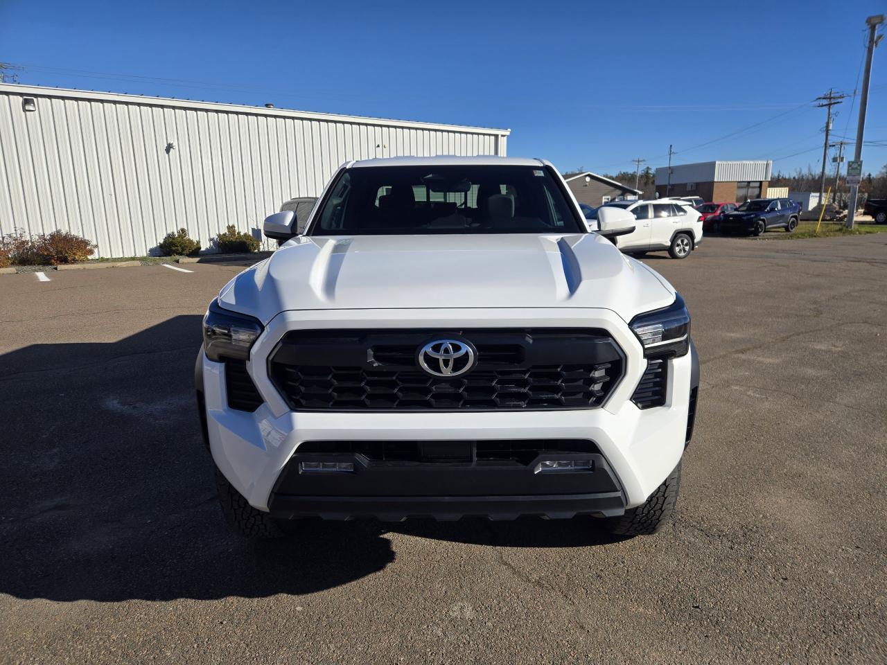 2025 Toyota Tacoma TRD Off Road Photo