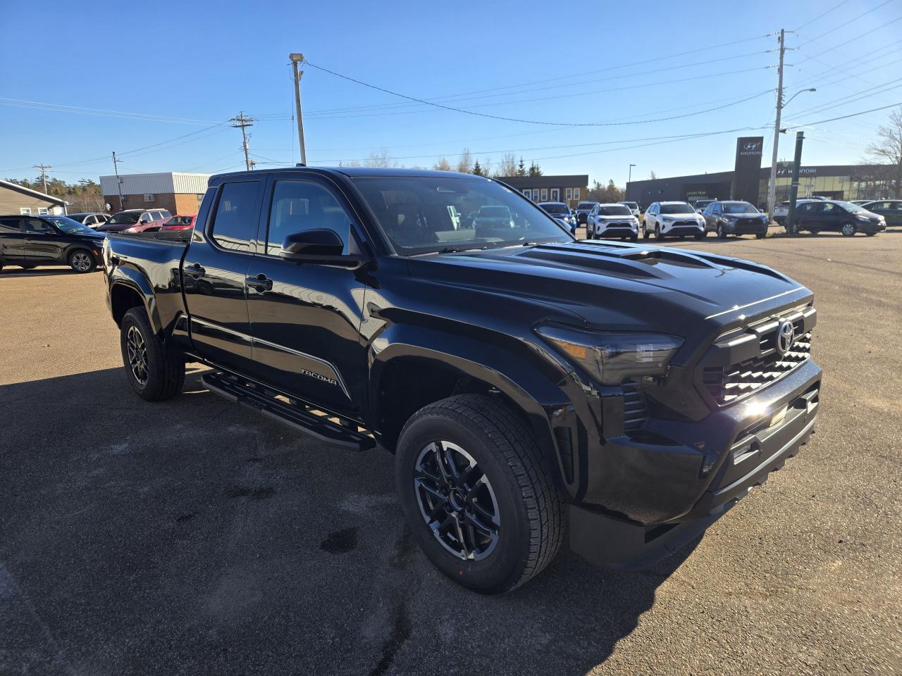 2025 Toyota Tacoma TRD SPORT PREMIUM Photo