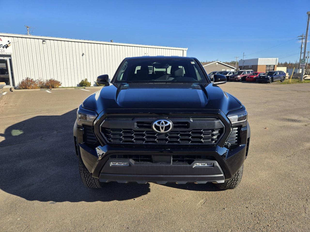 2025 Toyota Tacoma TRD Off Road Photo