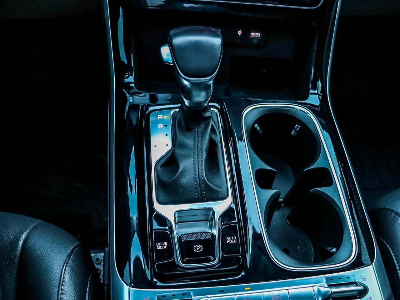 2024 Kia Carnival SX Photo