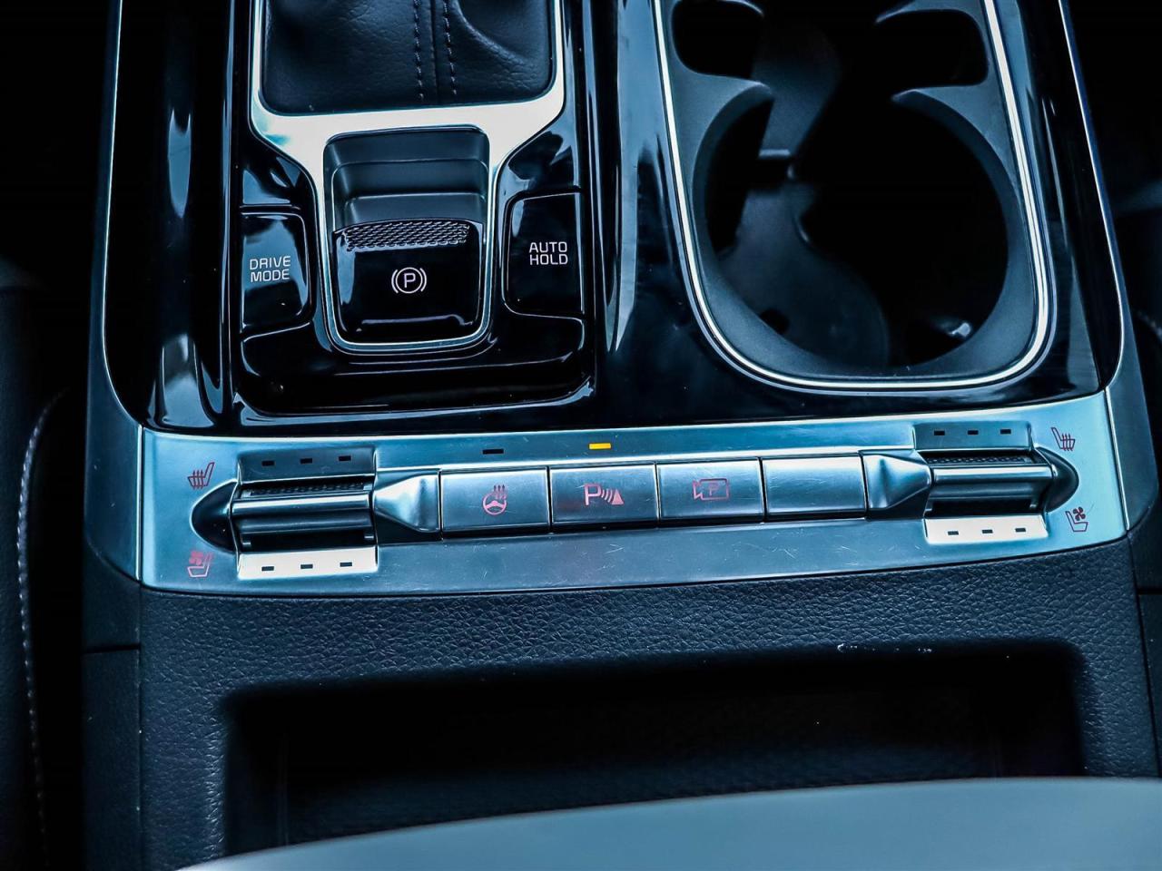 2024 Kia Carnival SX Photo