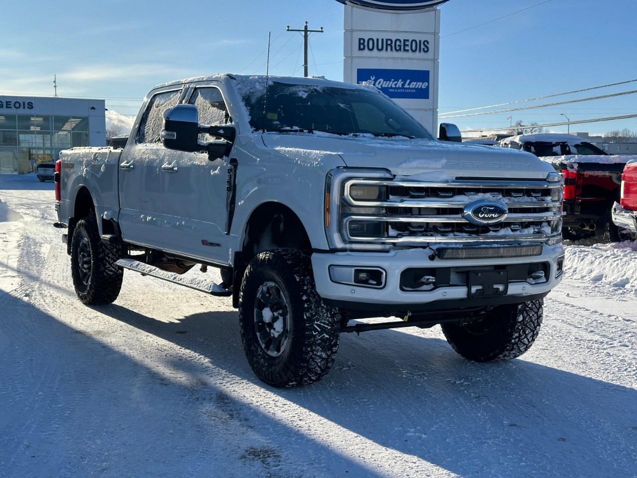 2023 Ford F-350 Super Duty SRW PLATINUM 4WD CREW CAB 6.75' BOX Photo