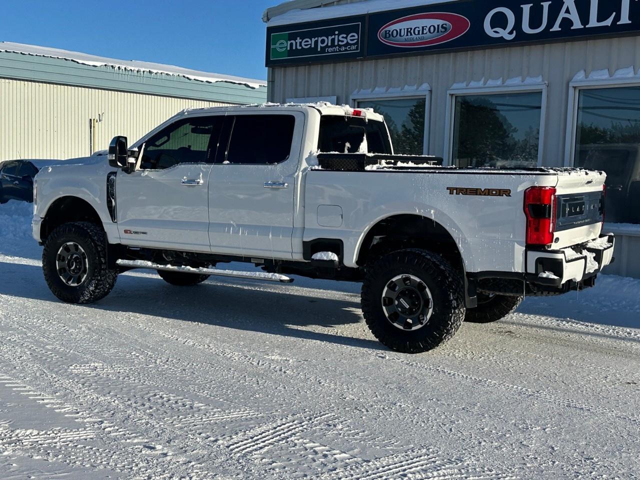 2023 Ford F-350 Super Duty SRW PLATINUM 4WD CREW CAB 6.75' BOX Photo