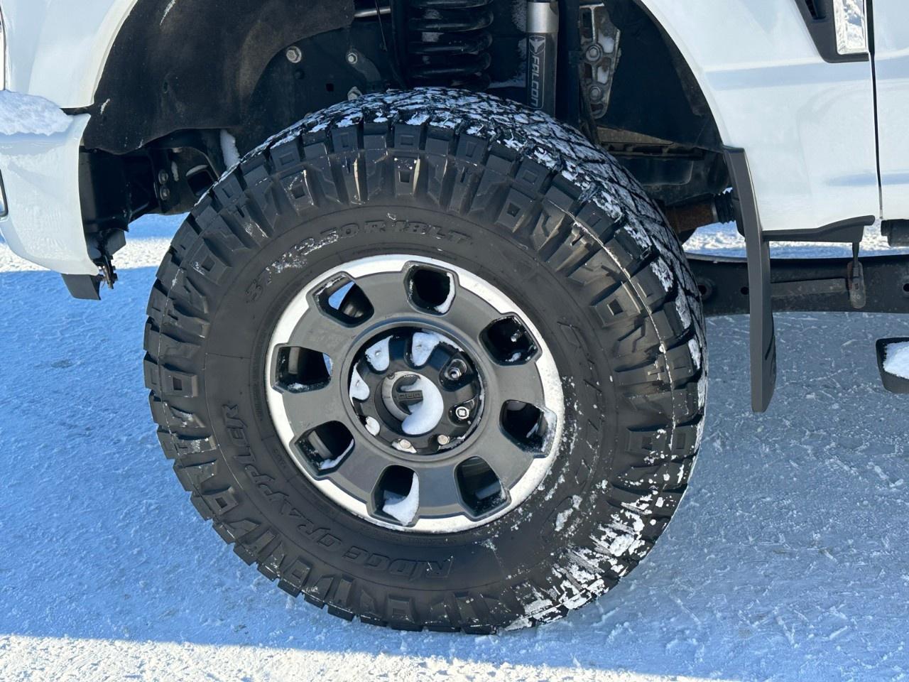 2023 Ford F-350 Super Duty SRW PLATINUM 4WD CREW CAB 6.75' BOX Photo