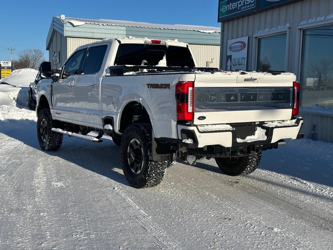 2023 Ford F-350 Super Duty SRW PLATINUM 4WD CREW CAB 6.75' BOX Photo