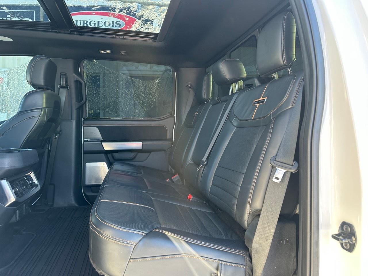 2023 Ford F-350 Super Duty SRW PLATINUM 4WD CREW CAB 6.75' BOX Photo