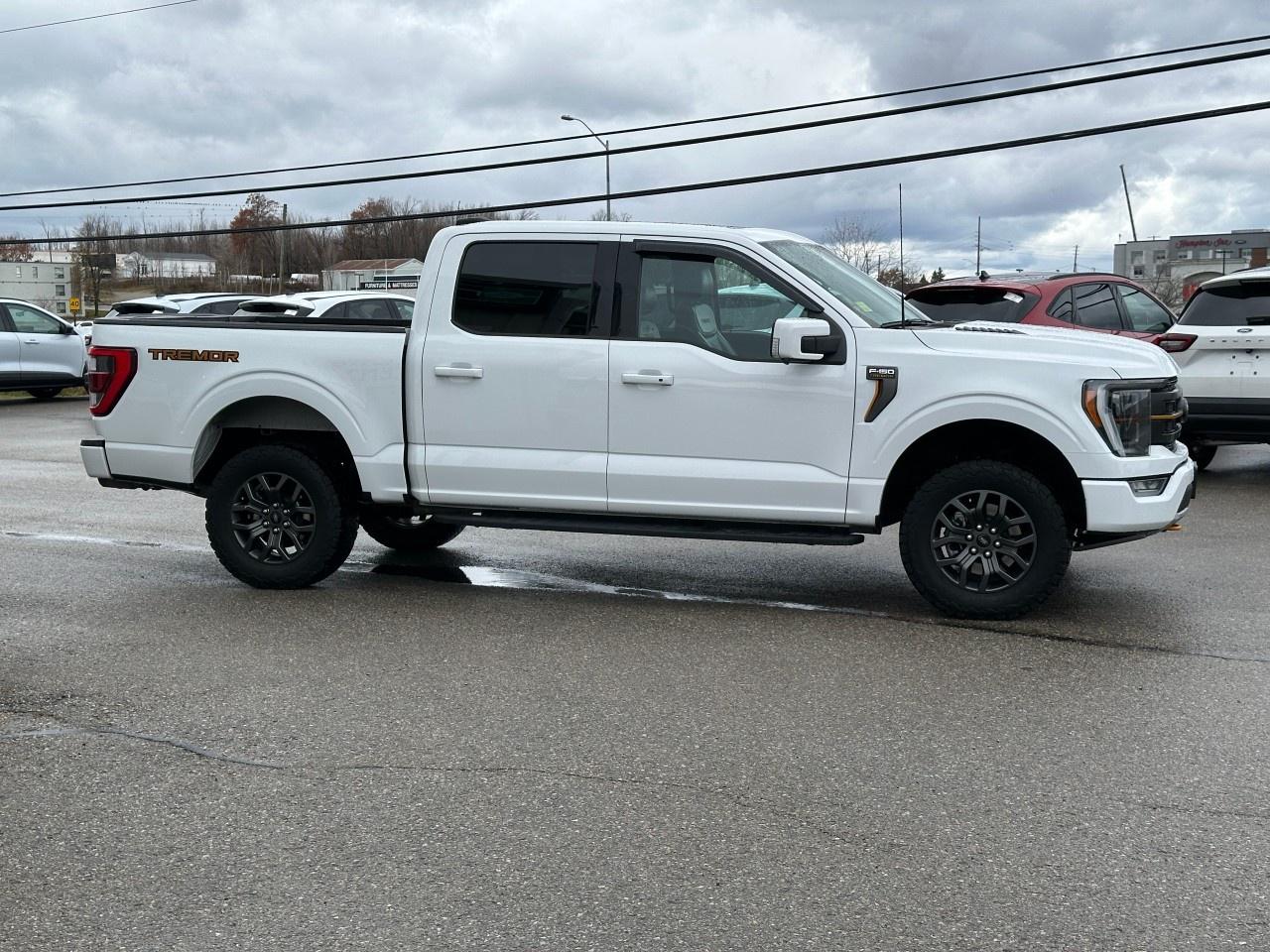 2021 Ford F-150 Tremor 4WD SuperCrew 5.5' Box Photo4