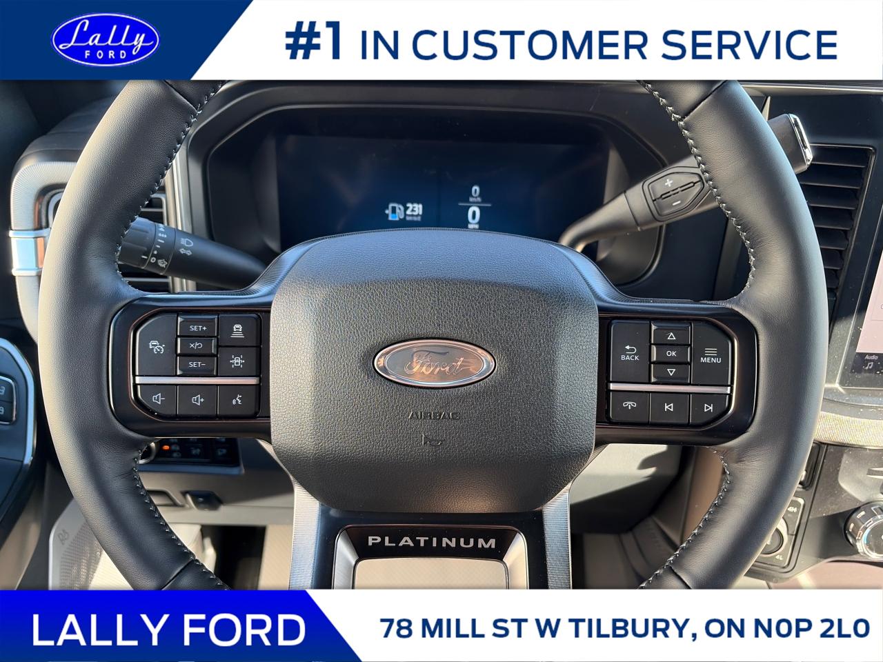 2026 Ford F-250 Platinum Photo