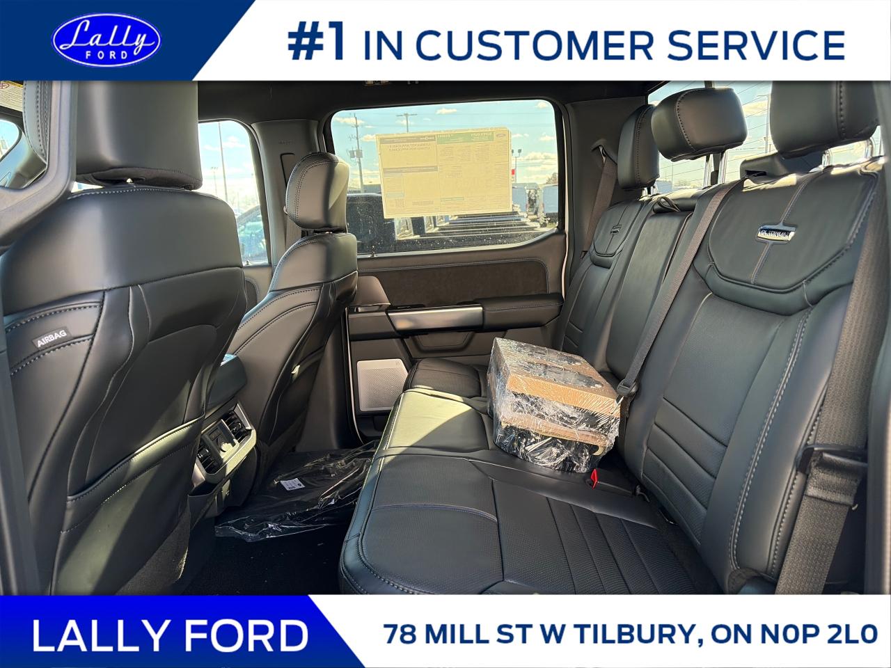 2026 Ford F-250 Platinum Photo