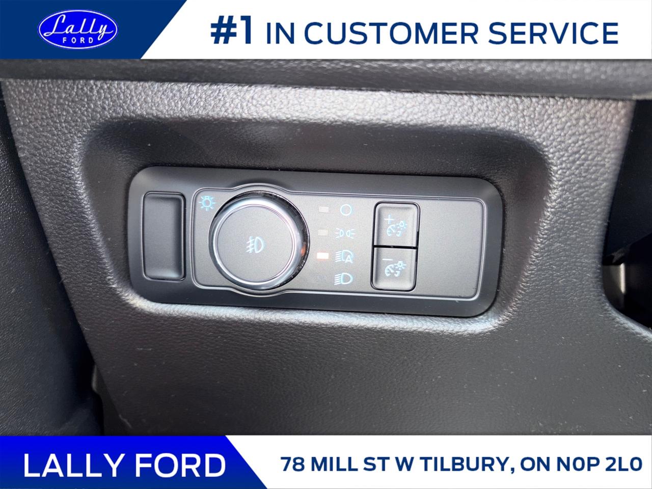 2025 Ford Ranger XLT Photo