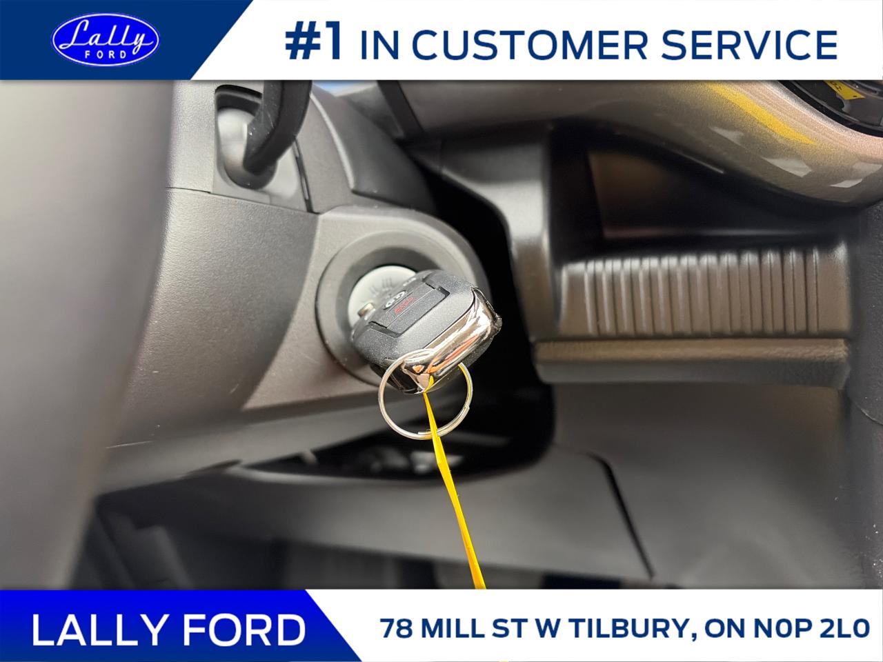 2025 Ford Ranger XLT Photo