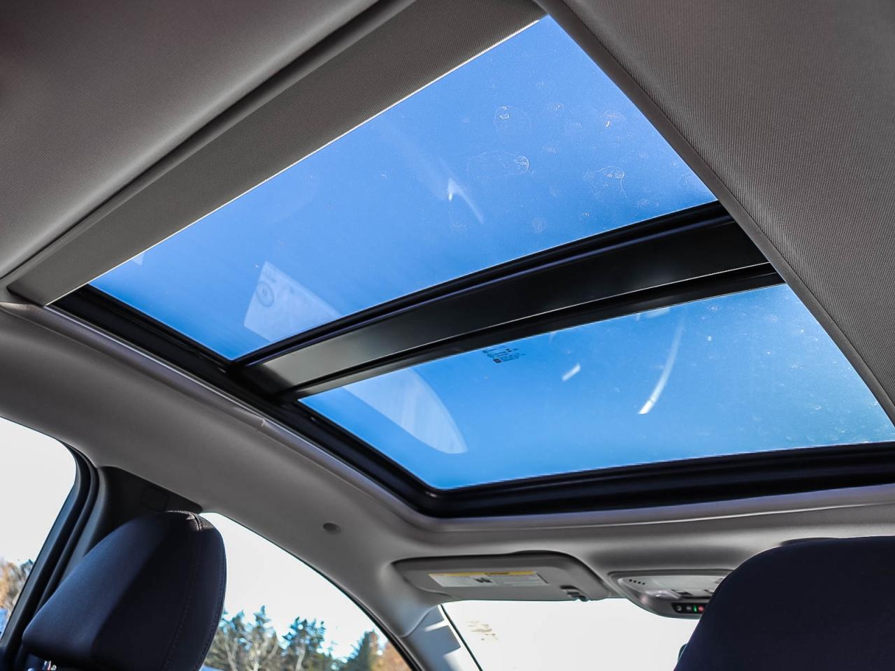 2024 Chevrolet Malibu 1LT Photo