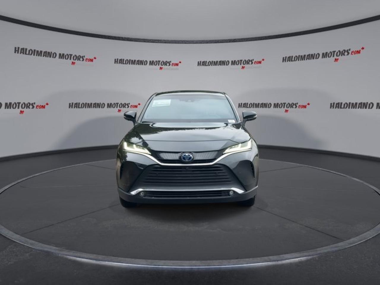 2024 Toyota Venza Limited AWD | Panoramic Roof | 360 Camera |  Leather Seats | Heated Seats Photo