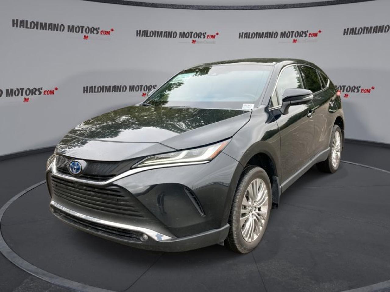 2024 Toyota Venza Limited AWD | Panoramic Roof | 360 Camera |  Leather Seats | Heated Seats Photo0