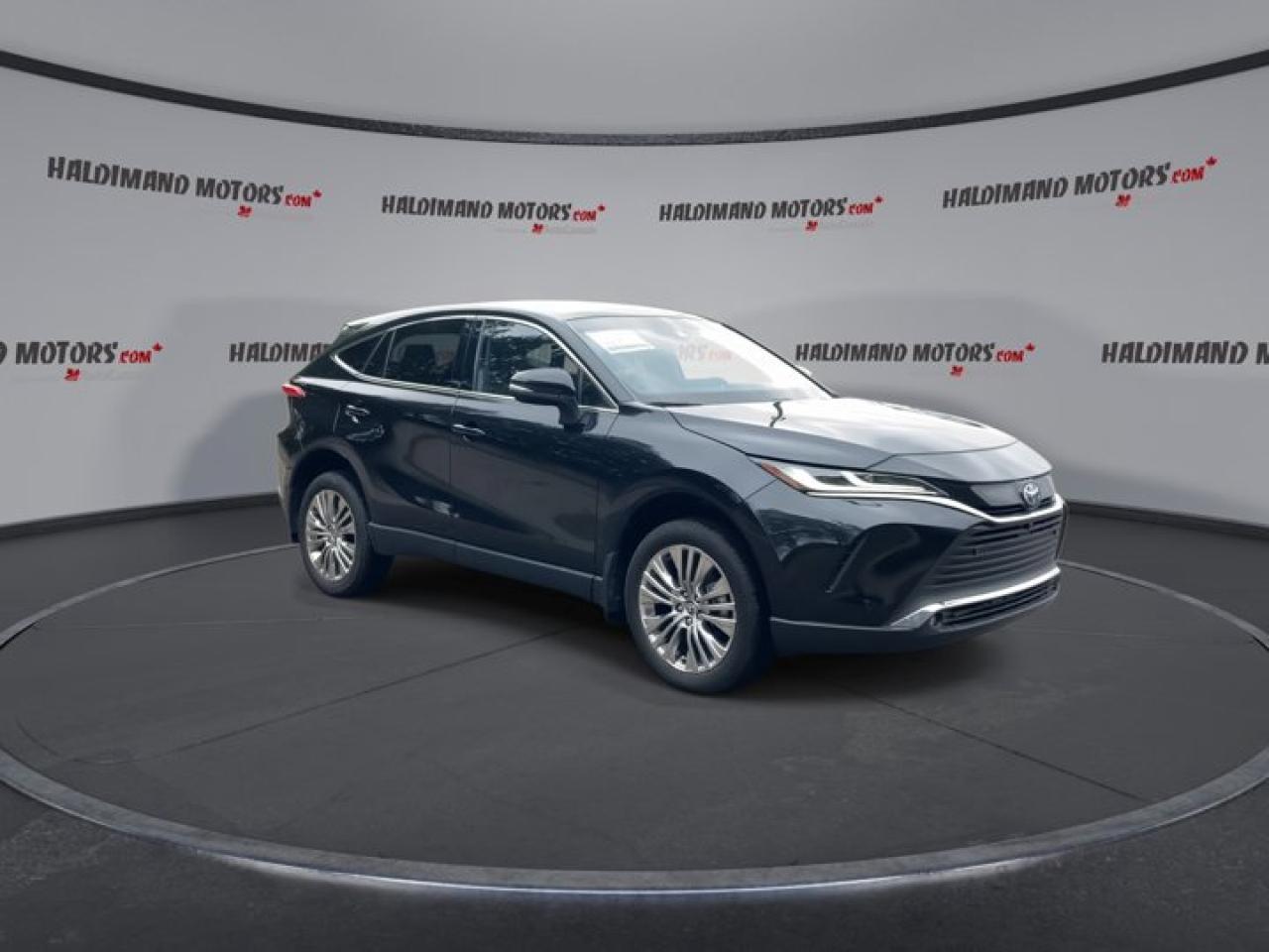 2024 Toyota Venza Limited AWD | Panoramic Roof | 360 Camera |  Leather Seats | Heated Seats Photo