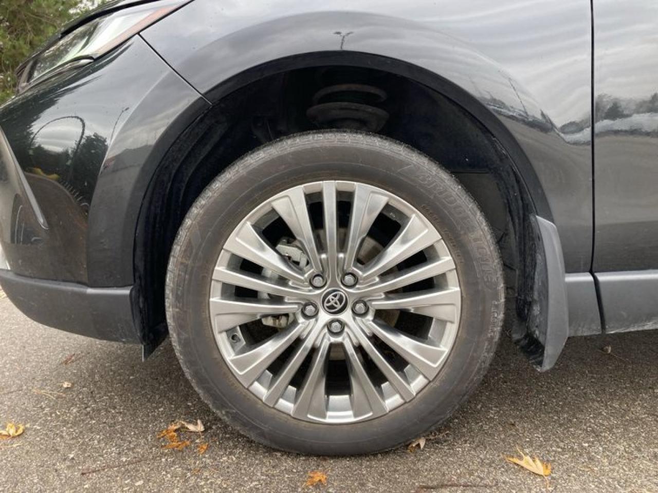 2024 Toyota Venza Limited AWD | Panoramic Roof | 360 Camera |  Leather Seats | Heated Seats Photo