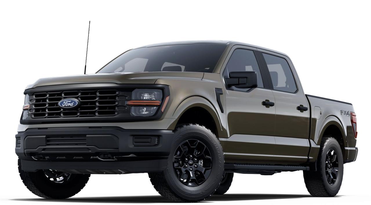 2025 Ford F-150 STX 4WD SuperCrew 5.5' Box Photo0