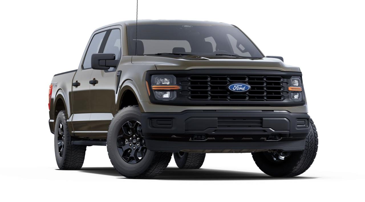 2025 Ford F-150 STX 4WD SuperCrew 5.5' Box Photo3