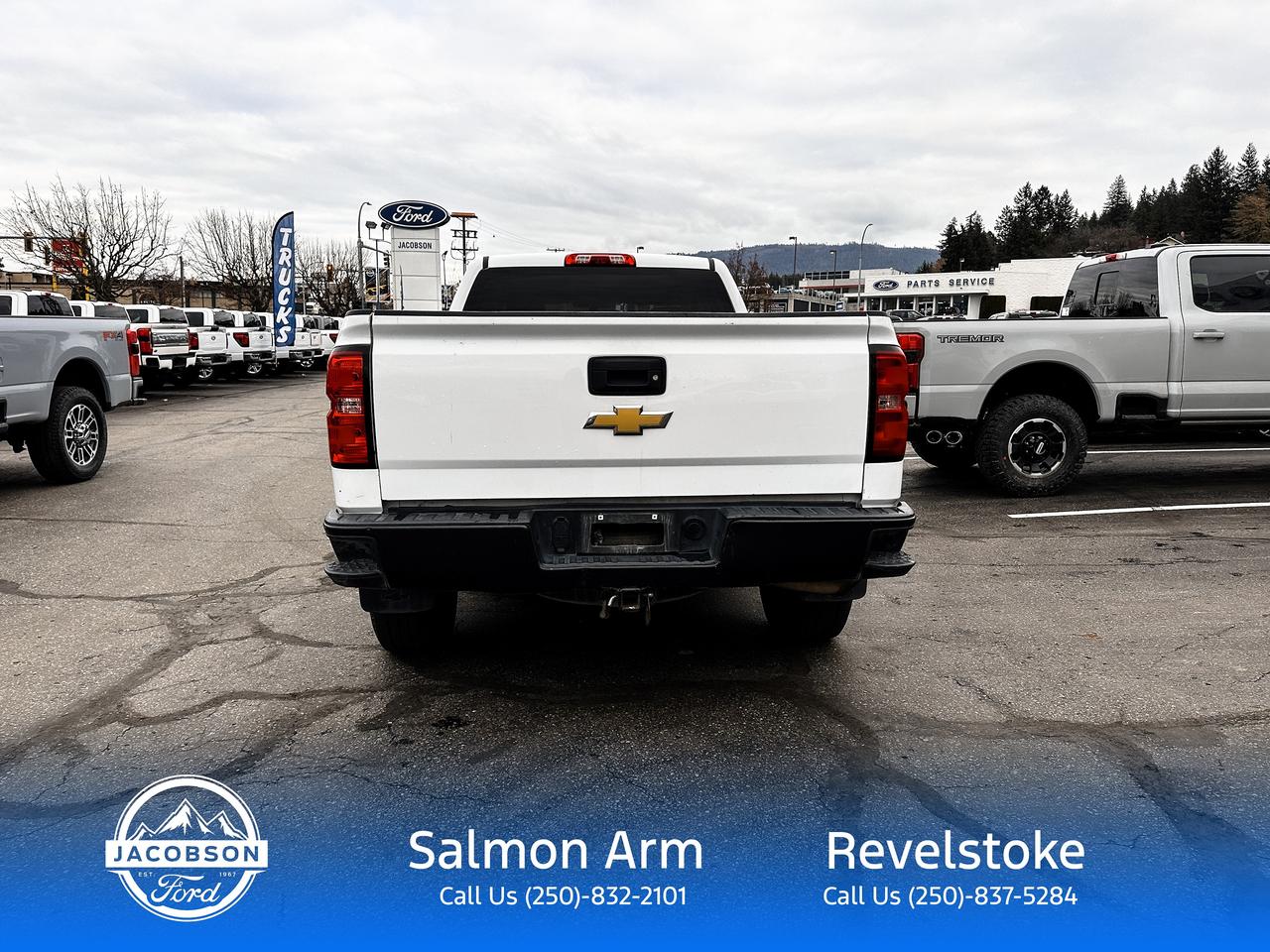 2019 Chevrolet Silverado 1500 LD WT Photo3