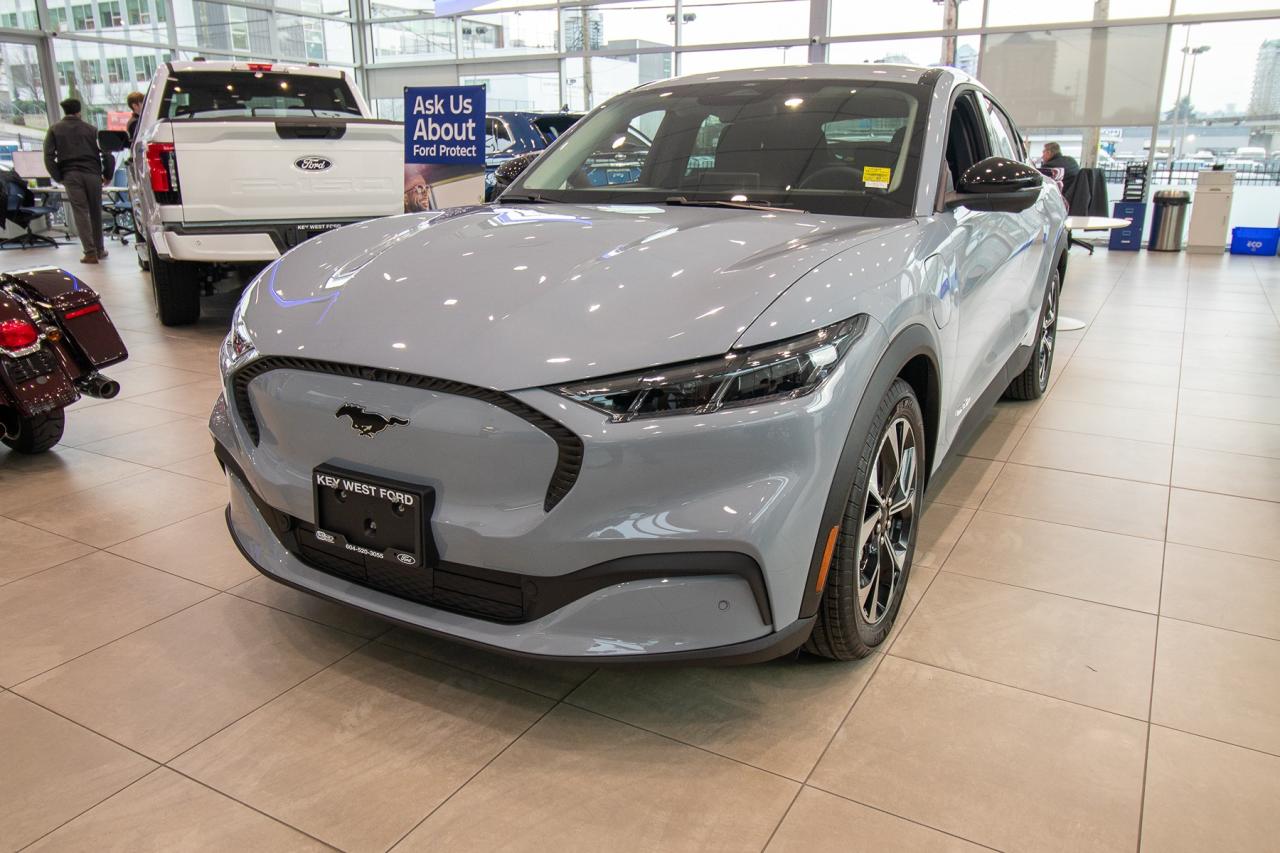 2025 Ford Mustang Mach-E SELECT RWD Standard Range Battery Photo1