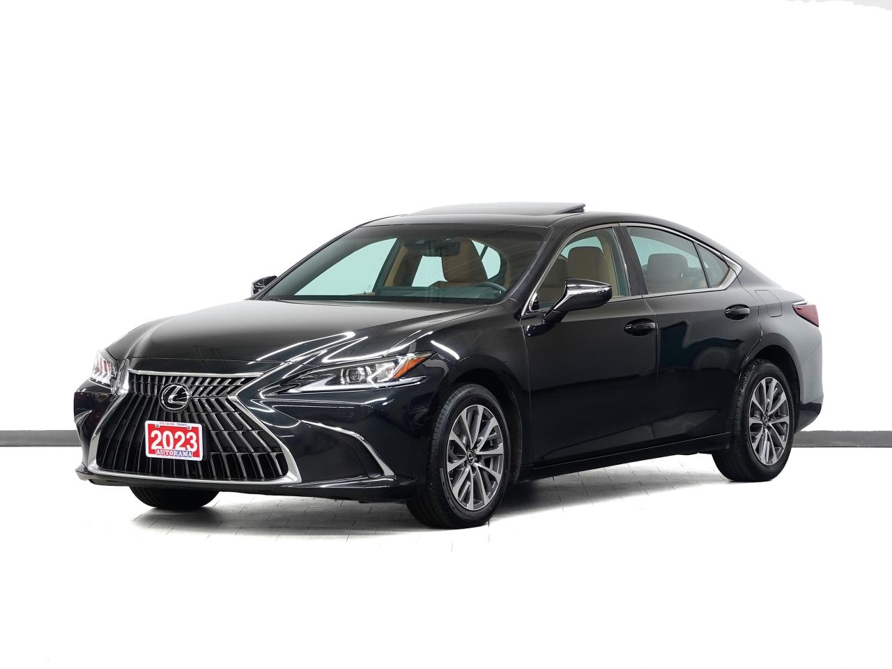 2023 Lexus ES 250 AWD | Nav | Leather | Sunroof | BSM | CarPlay Photo