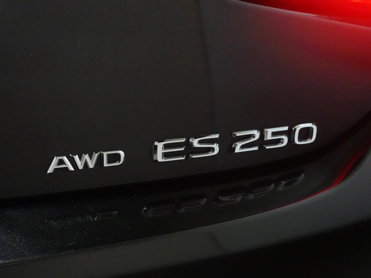 2023 Lexus ES 250 AWD | Nav | Leather | Sunroof | BSM | CarPlay