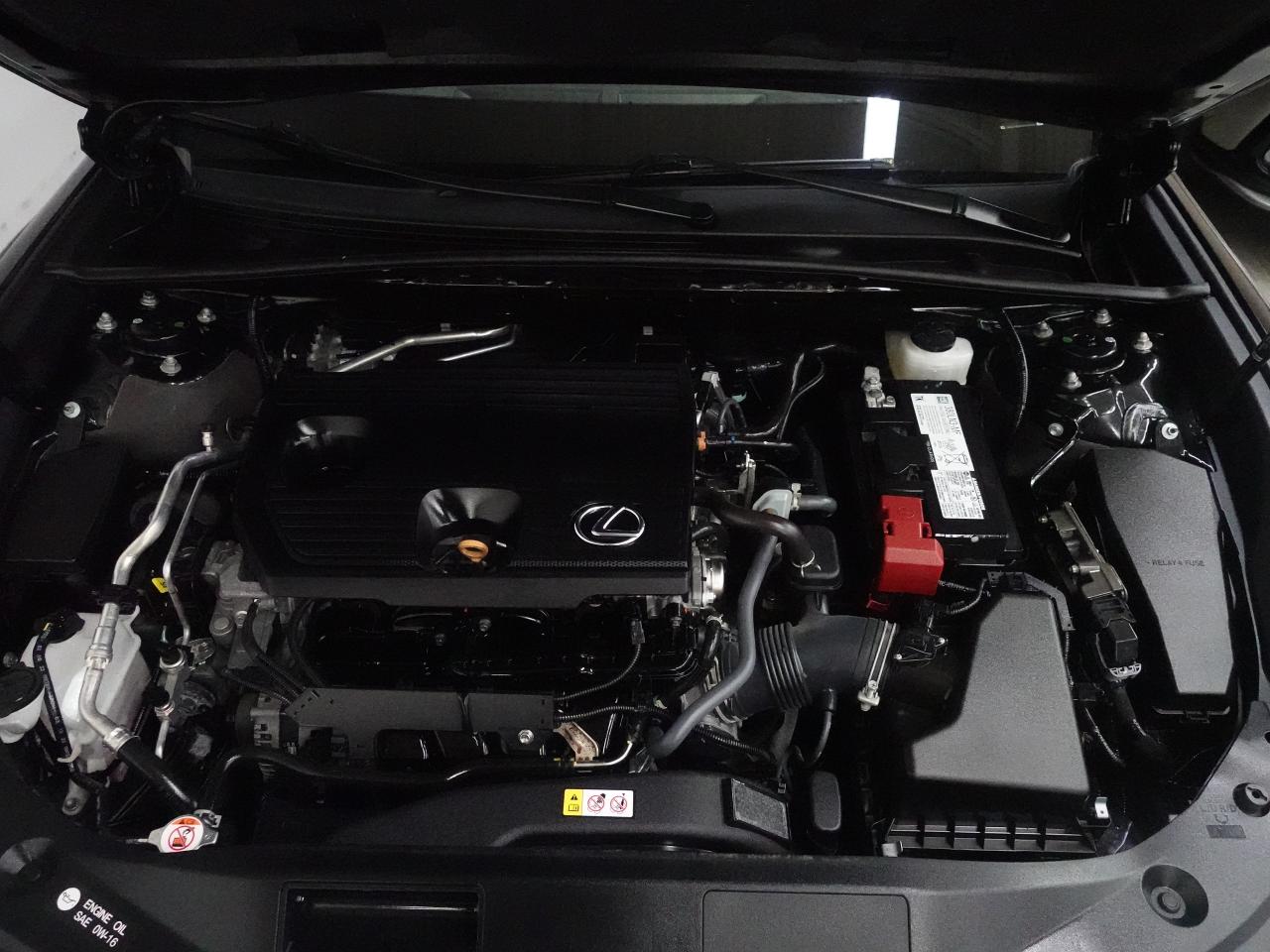 2023 Lexus ES 250 AWD | Nav | Leather | Sunroof | BSM | CarPlay