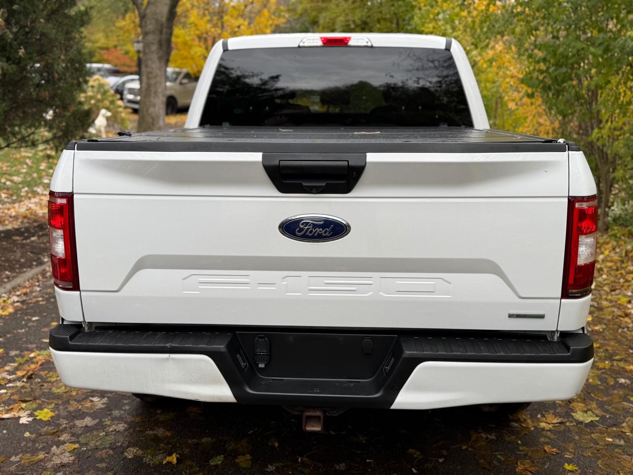 2019 Ford F-150 XLT Photo4