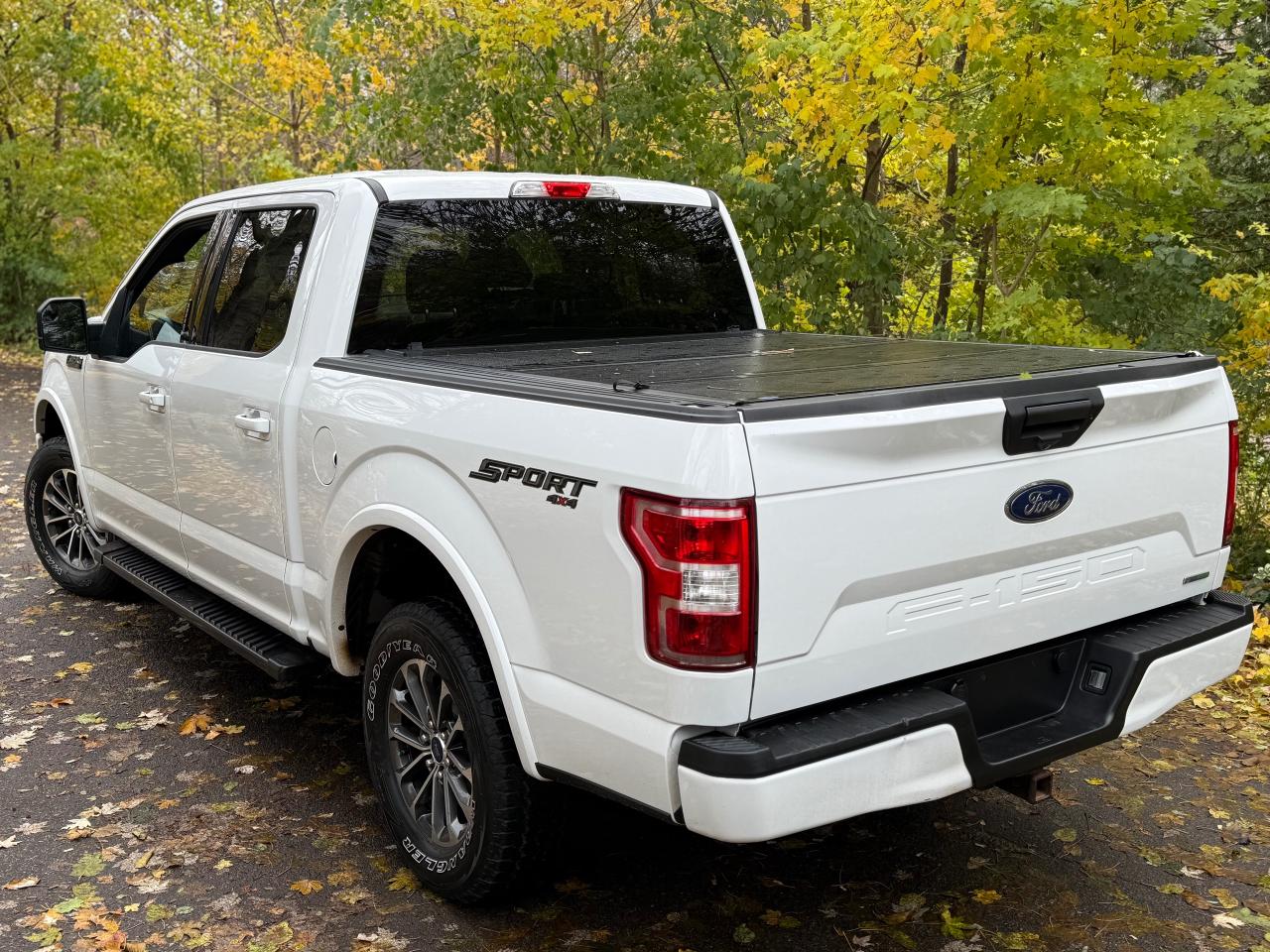 2019 Ford F-150 XLT Photo3