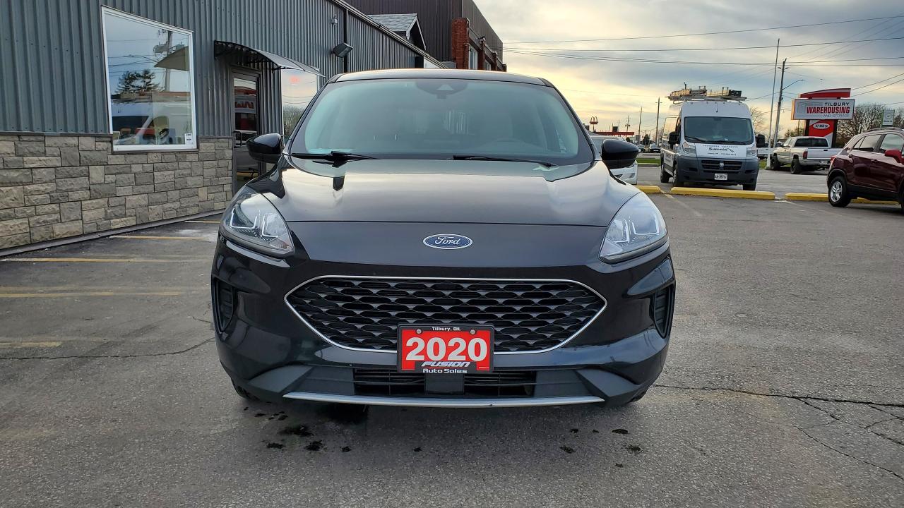 2020 Ford Escape SE FWD-"NO TAX SALE-MAX $2000-LTD TIME ONLY" - Photo #7