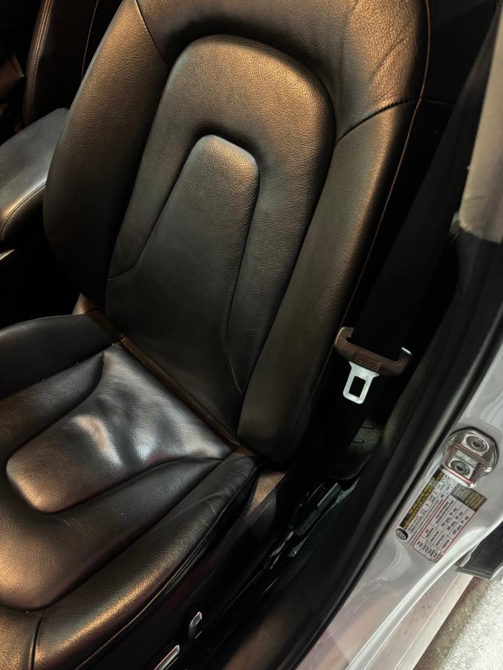 2016 Audi A4 Progressiv plus Photo